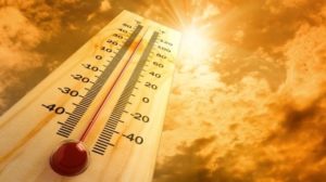 Recognize, treat, and prevent signs of heat illness