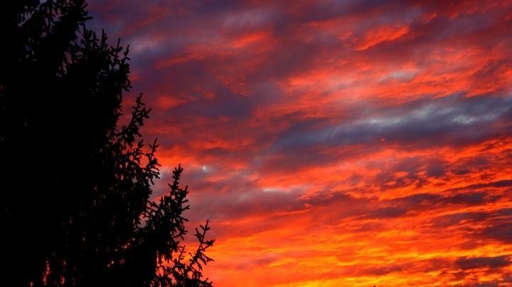 Red skies can predict the weather, depending on the time of day you see them.