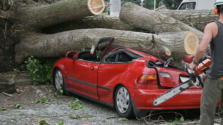 What does safety third mean? Not cutting a tree so it lands on your car. 