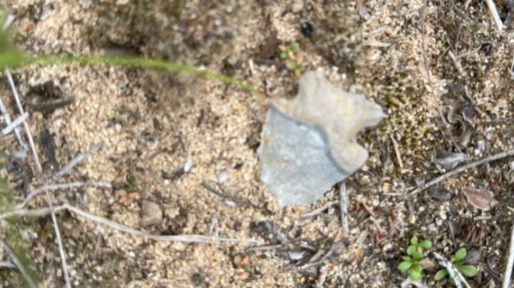 An ancient Native American arrowhead. 