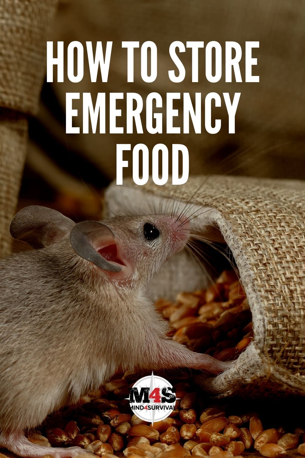 How to Store Emergency Food for the Longest Shelf Life