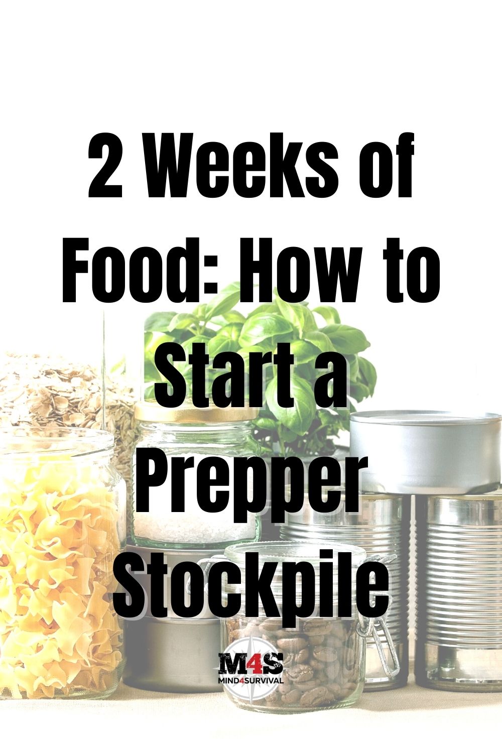 2 Weeks of Food: How to Start a Stockpile for New Preppers