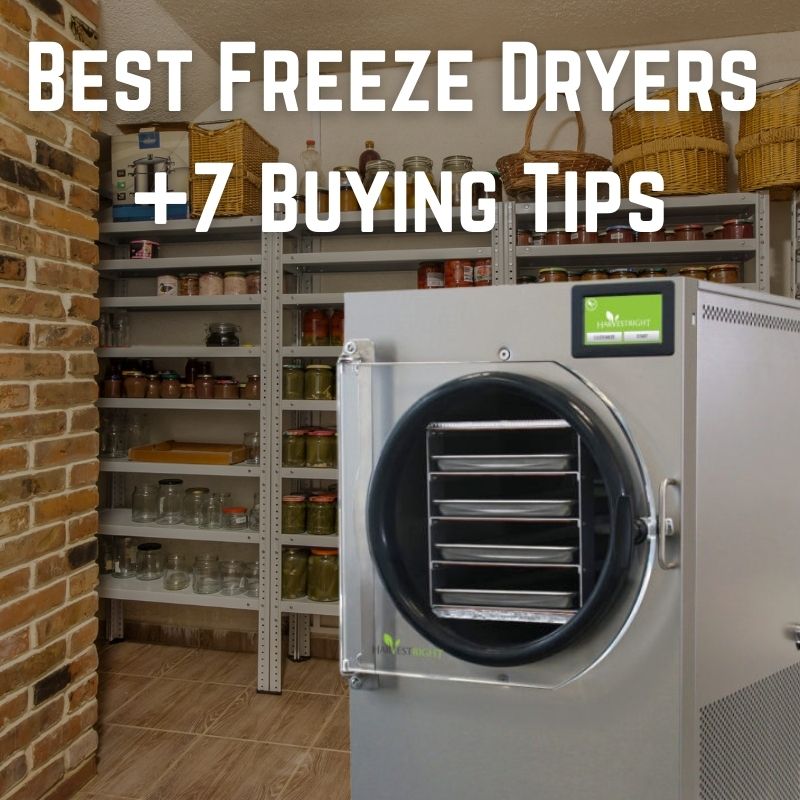 Best Freeze Dryer for Sale