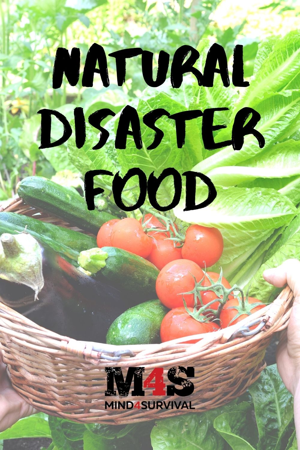 Natural Disaster Food: Eat Healthy During an Emergency