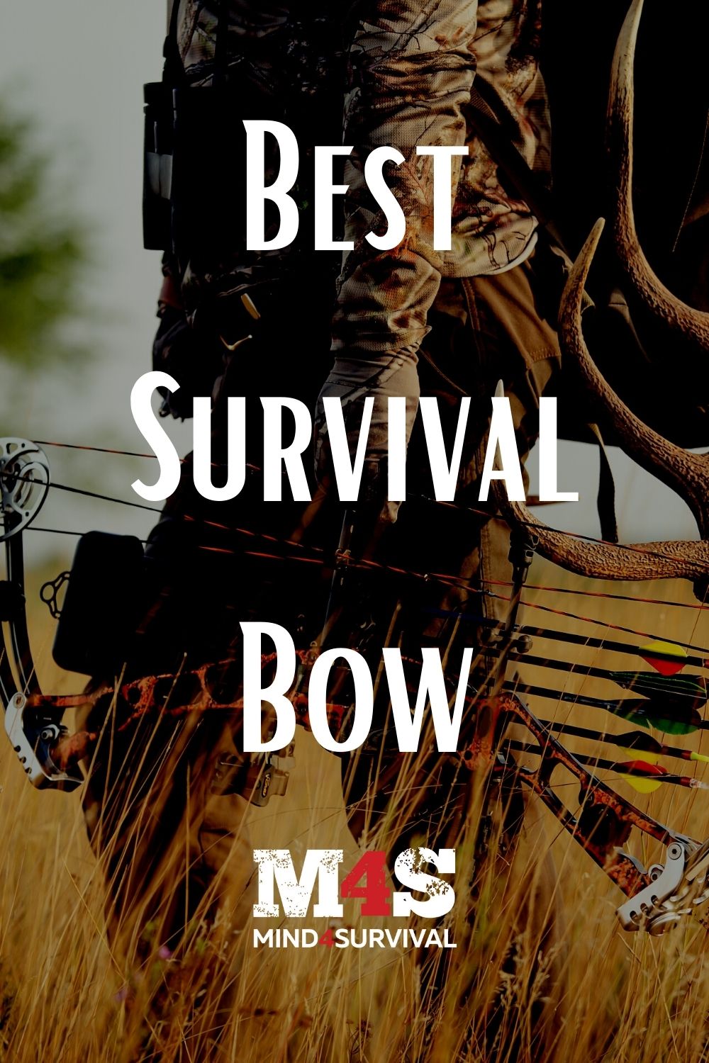 7 Best Survival Bows for Hunting & Self-Defense (2022)