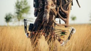 Review of the best survival bows for 2022