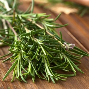 Rosemary is a perennial medicinal plant