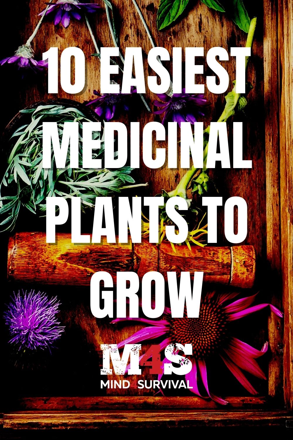 What Are the 10 Easiest Medicinal Plants to Grow?