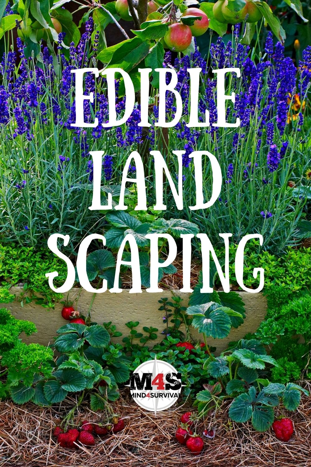 Edible Landscaping: Food Hidden in Plain Sight