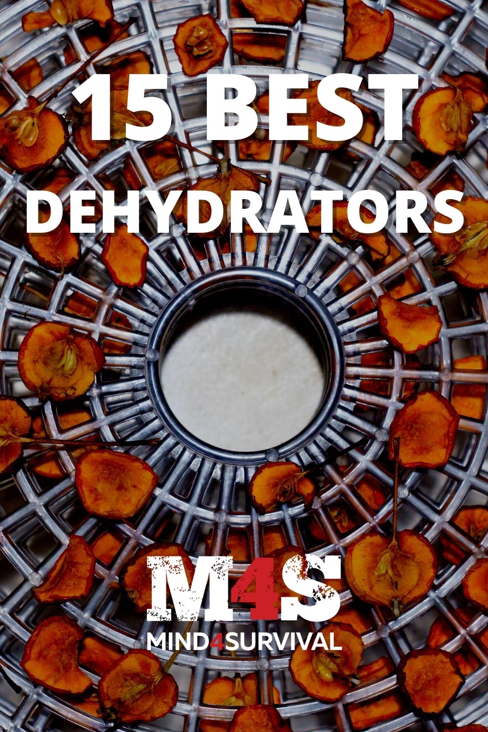 The Best Dehydrator - 15 Best Dehydrator Reviews (2022)