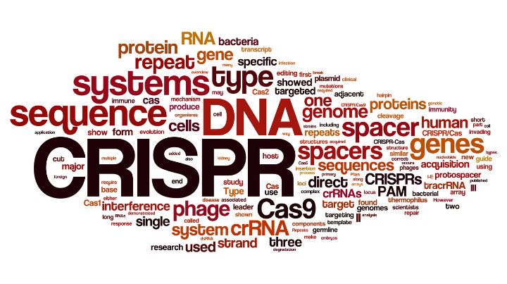 CRISPR Terms