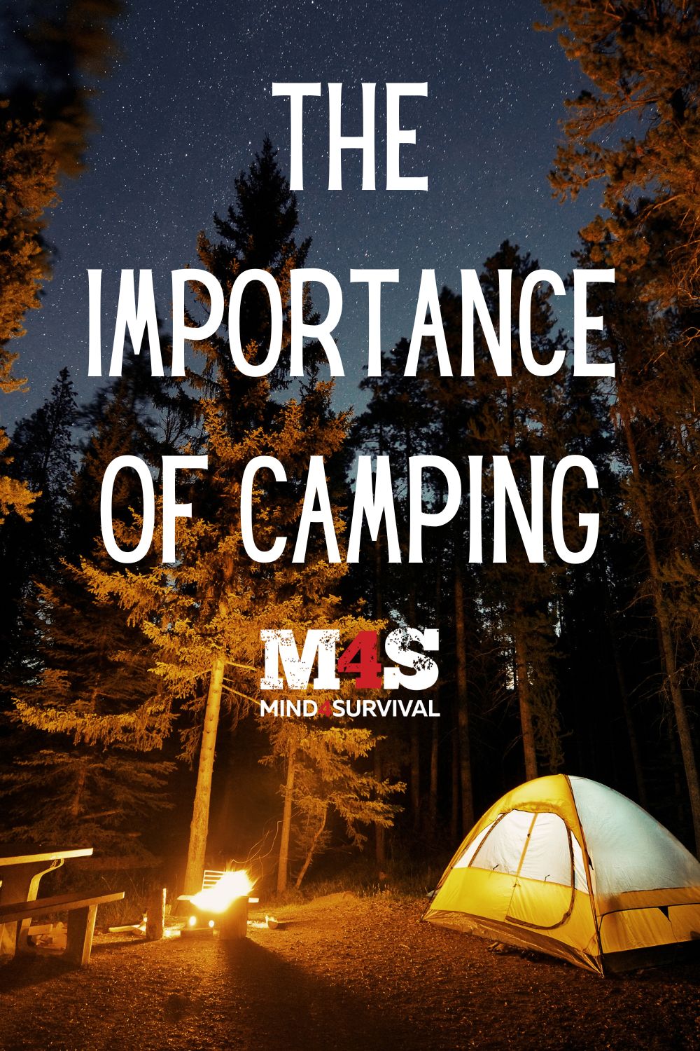 The Importance of Camping