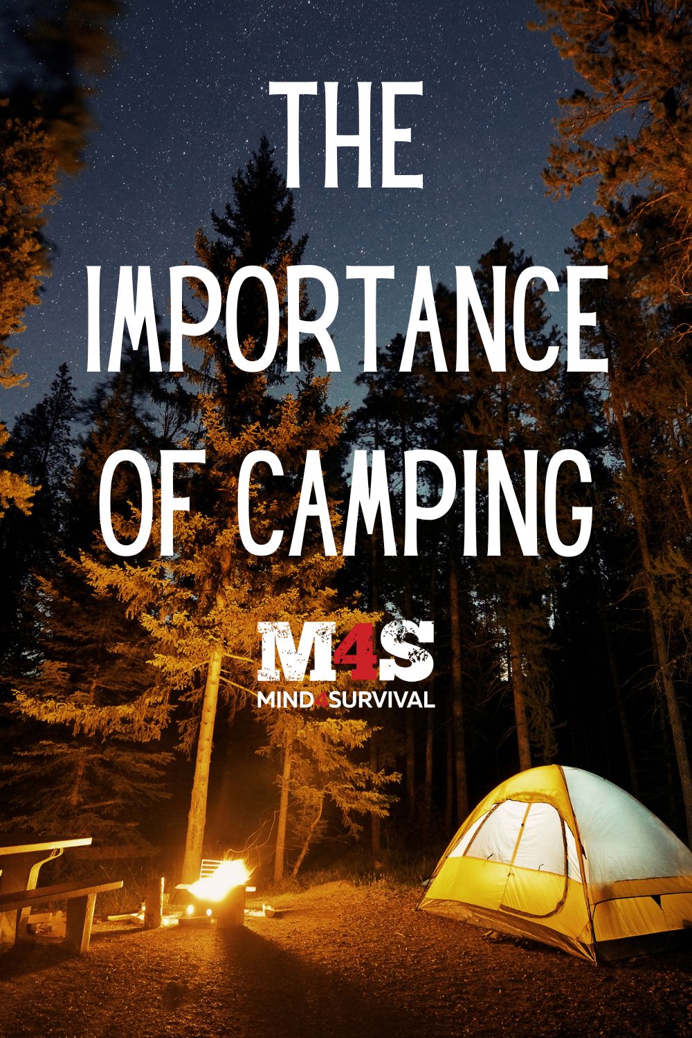 The Importance Of Camping