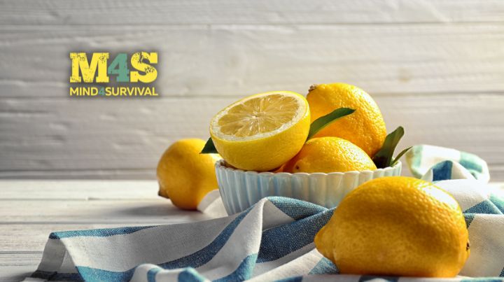 Lemons-FI (2)