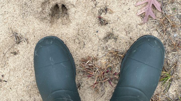Kamik Winter Boots and Deer Track - no filter