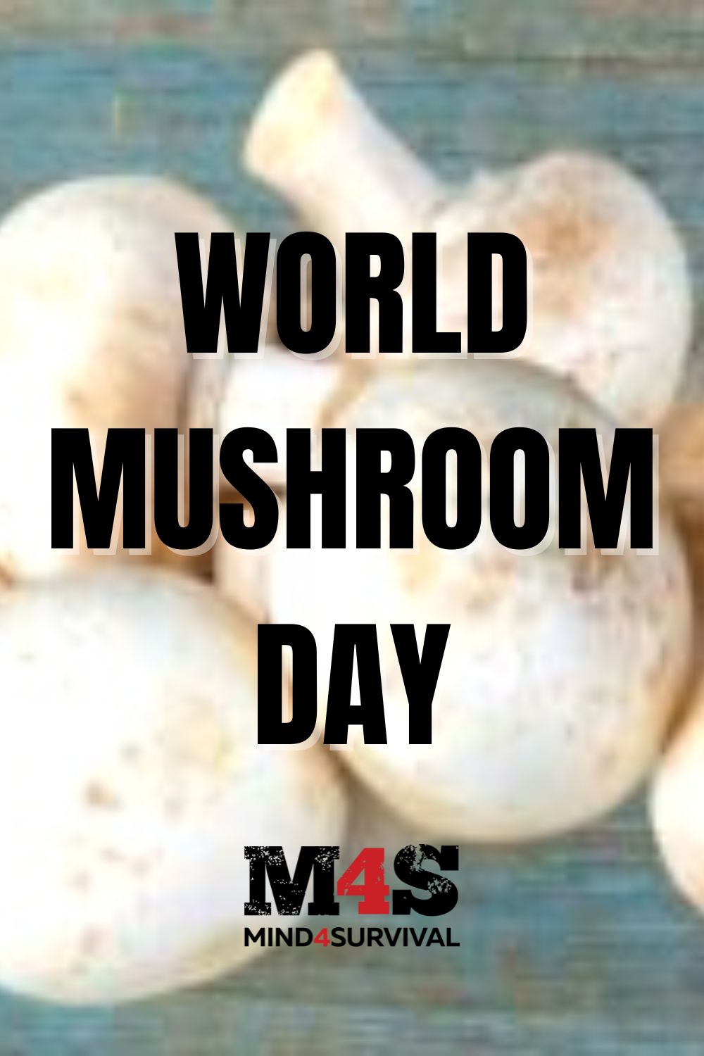 World Mushroom Day Is October 15 - Are You Ready to Celebrate?