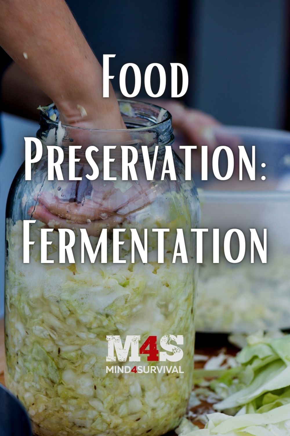 Food Preservation: Fermentation