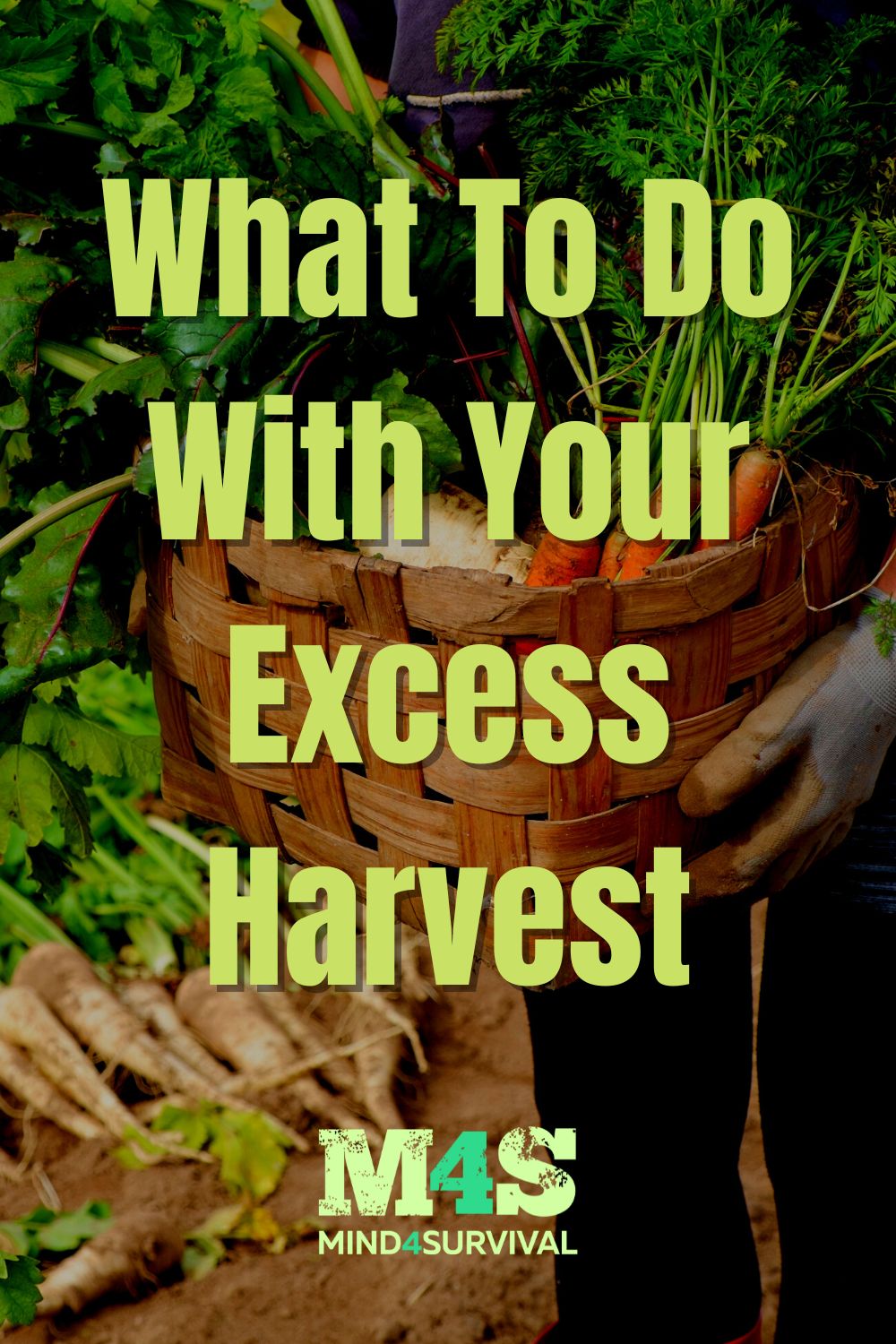 What To Do With Your Excess Harvest