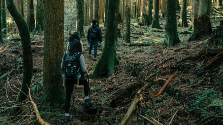 Hikers walking fast