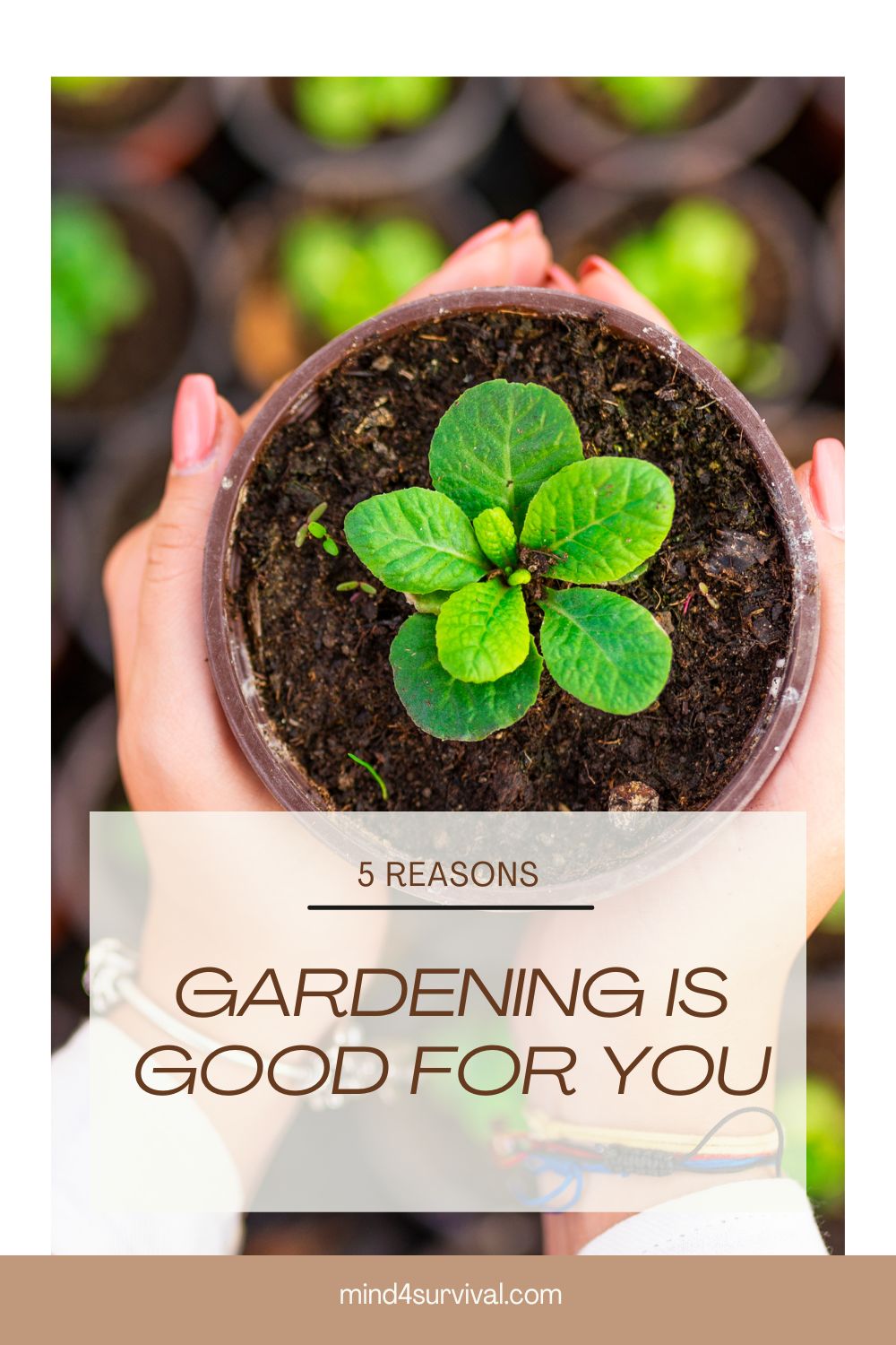 5 Reasons Gardening is Good For You