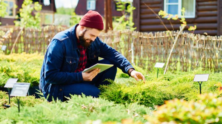 A person learning how to garden