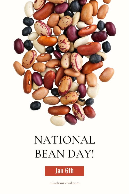 National Bean Day: Celebrate with These 5 Great Bean Recipes