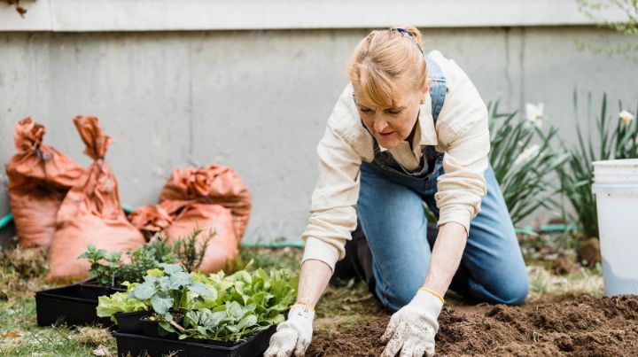 Gardening is a great preparedness skill to know