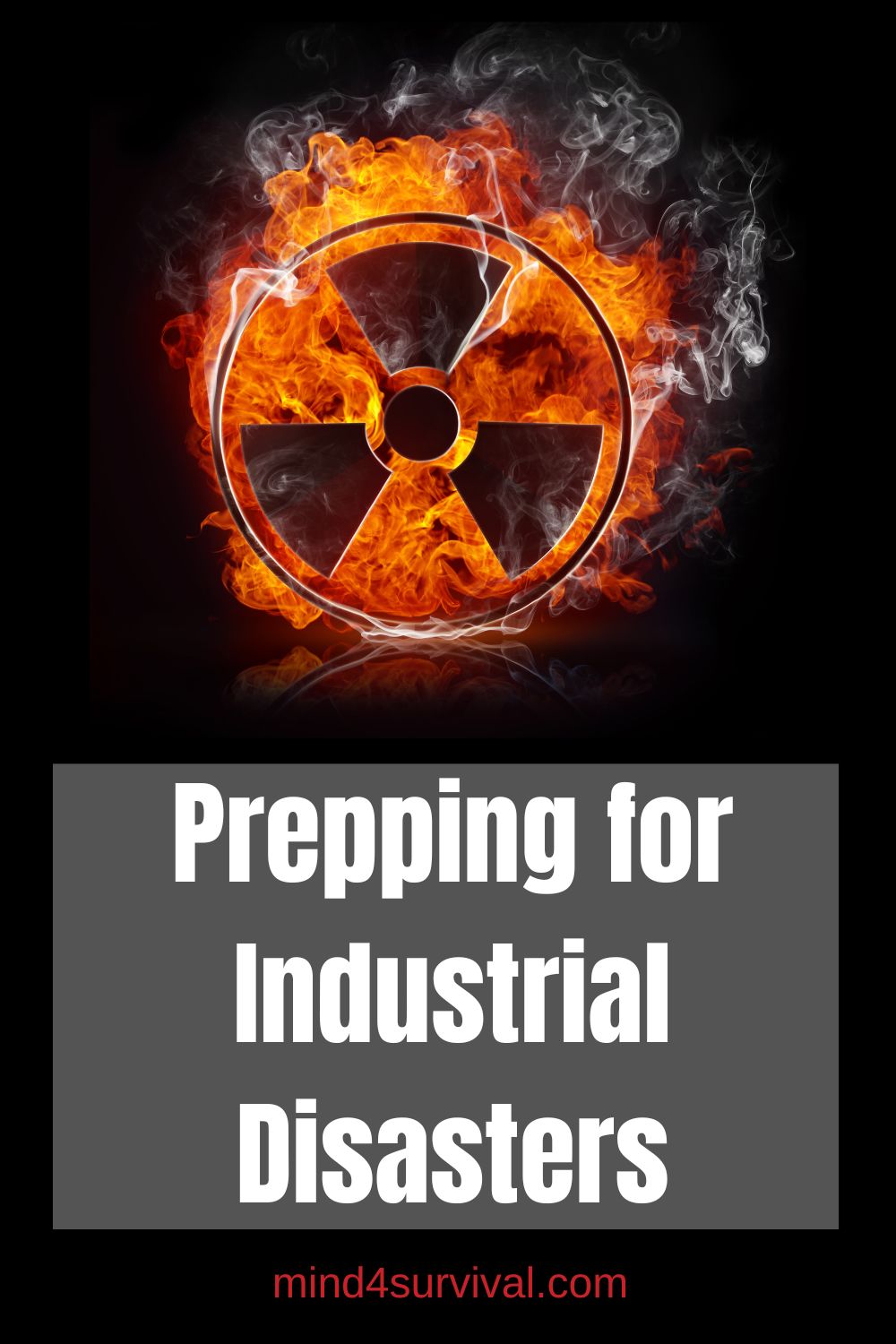 Prepping for Industrial Disasters