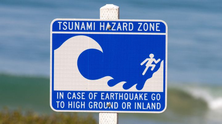 Tsunami Warning sign at beach