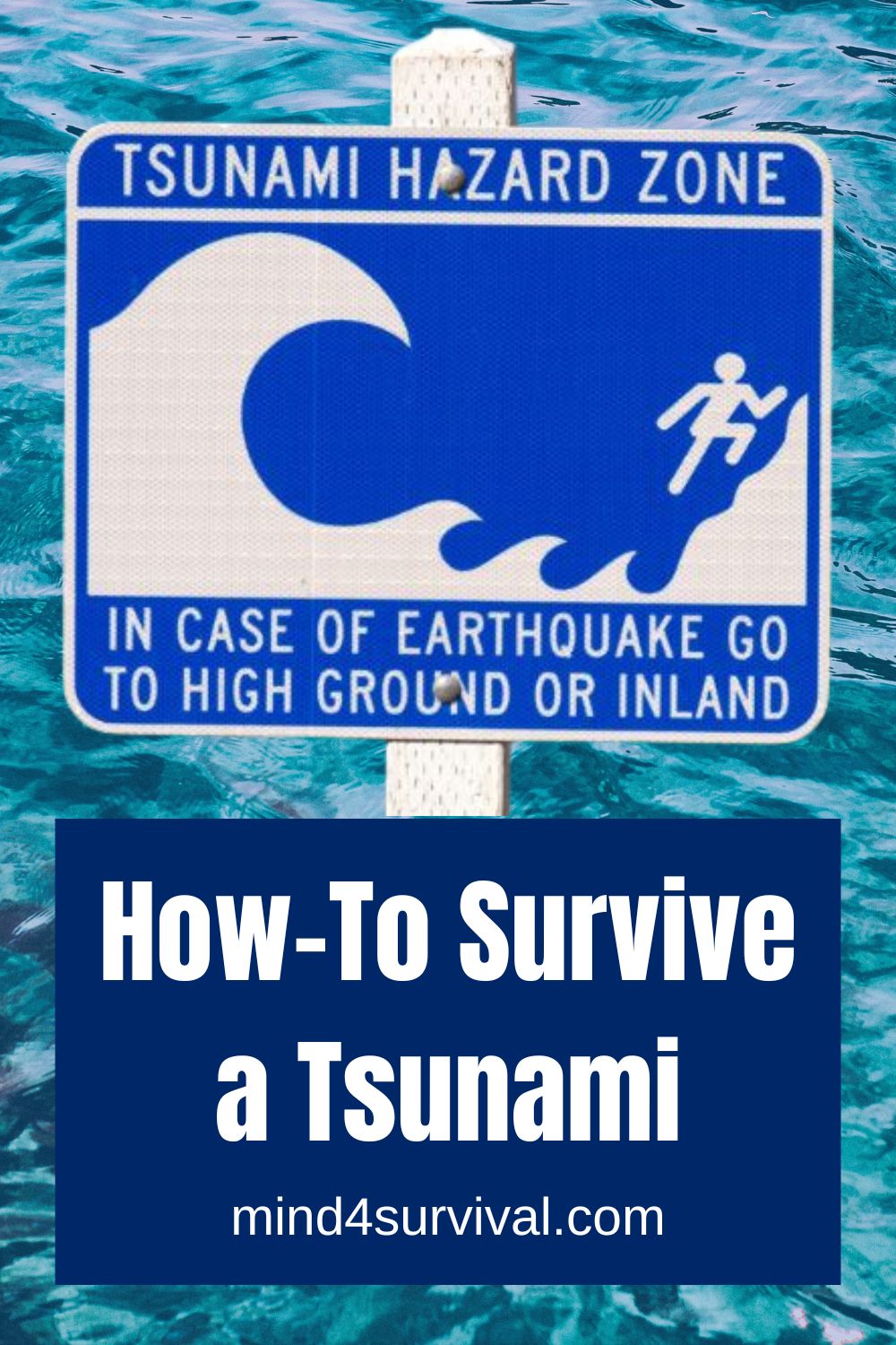 How to Survive a Tsunami | Guide & Tips (2023)