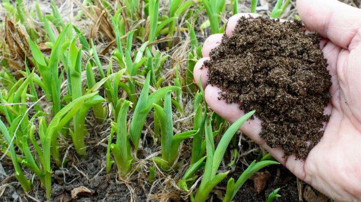 Spreading your compost is a great garden prep