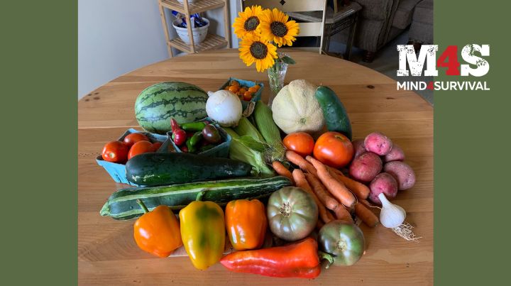 CSA Farmshares - Could One Be Right For You?