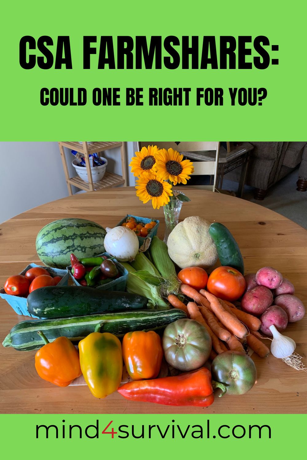 CSA Farmshares:  Could One Be Right For You?