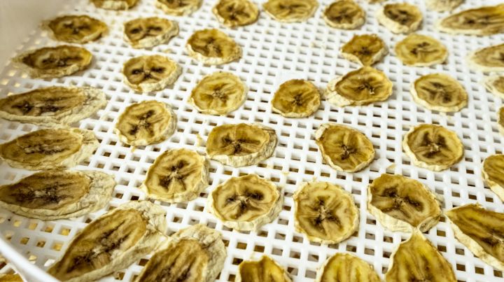 Dehydrated Bananas on Dehydrator Tray