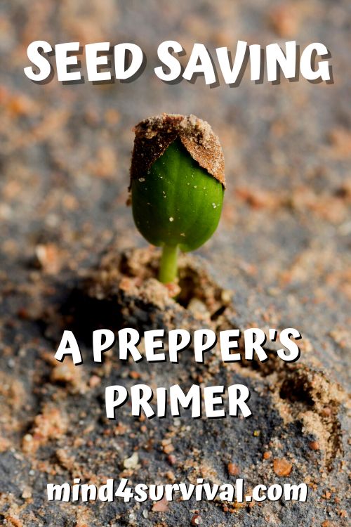 Seed Saving: The Prepper's Primer