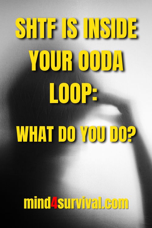 SHTF Is Inside Your OODA Loop: What Do You Do?