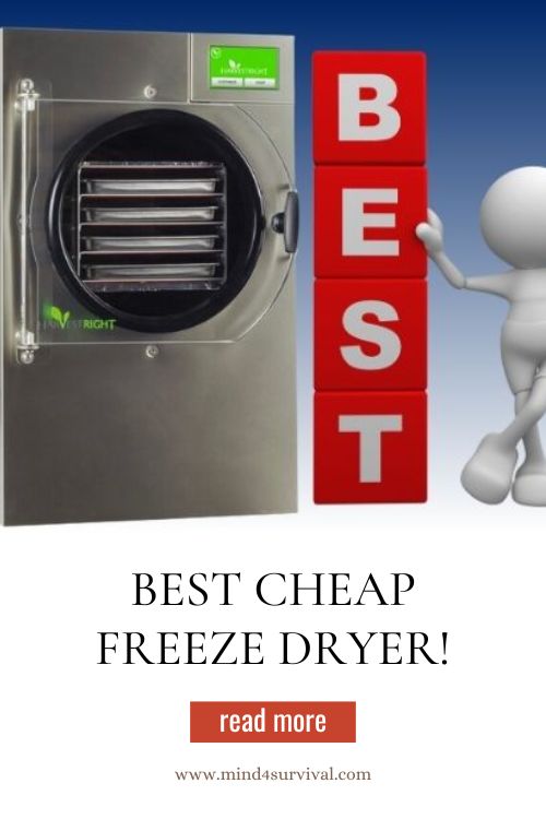 Best Cheap Freeze Dryer! Ultimate Guide (2023)