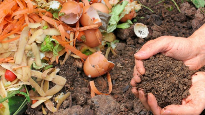 You can compost some spoiling food to reduce waste
