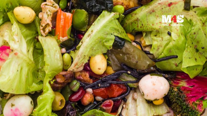 How to reduce your food waste