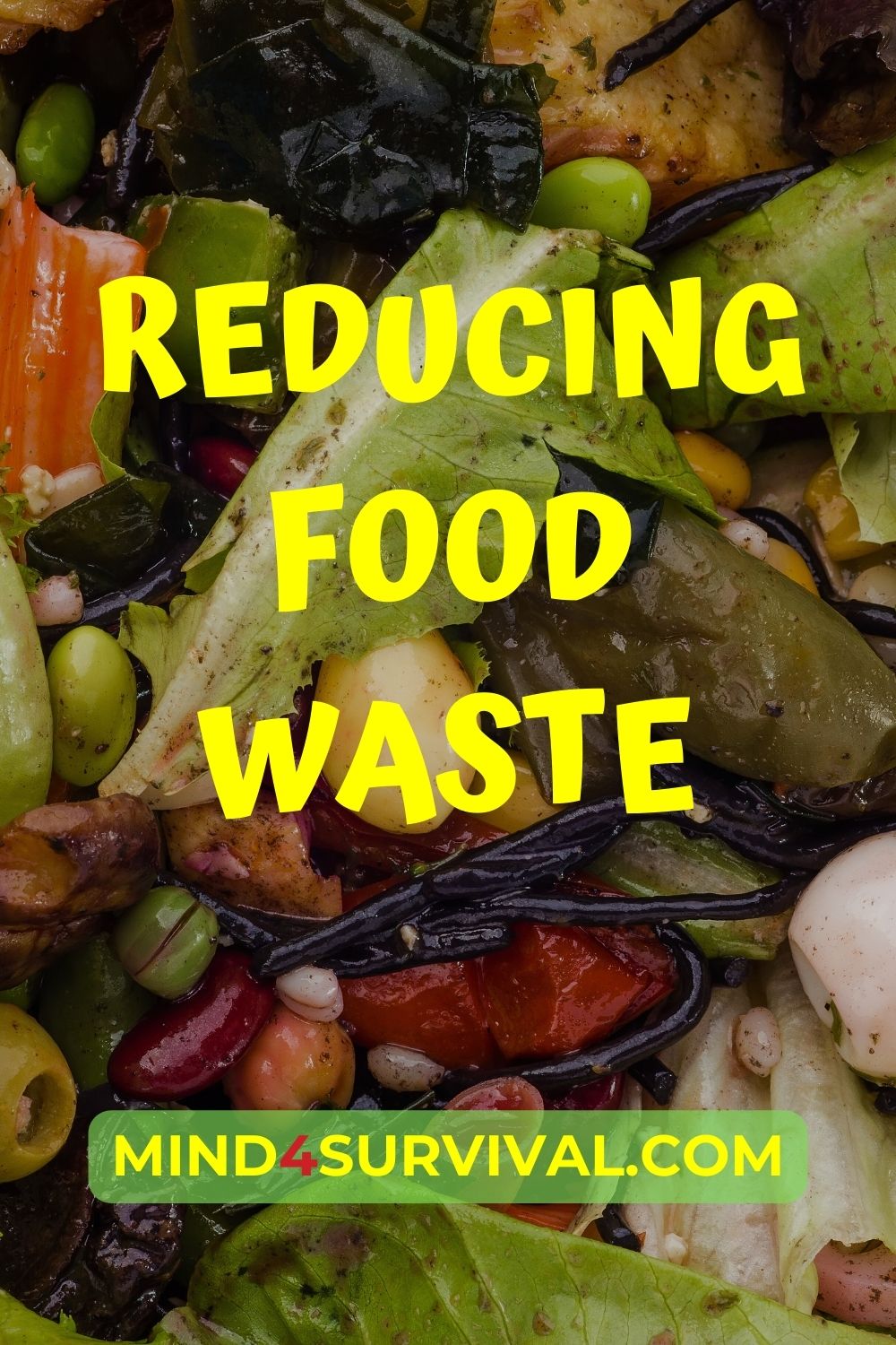 Reducing Food Waste