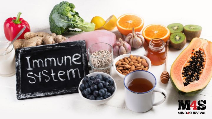 Immune System and food