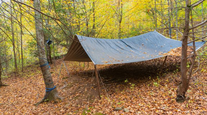 Photo of a shelter made from a simple tarp