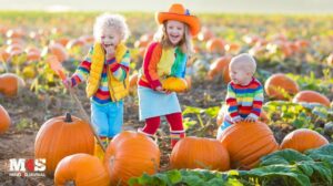 Kids in a pumpkin patch