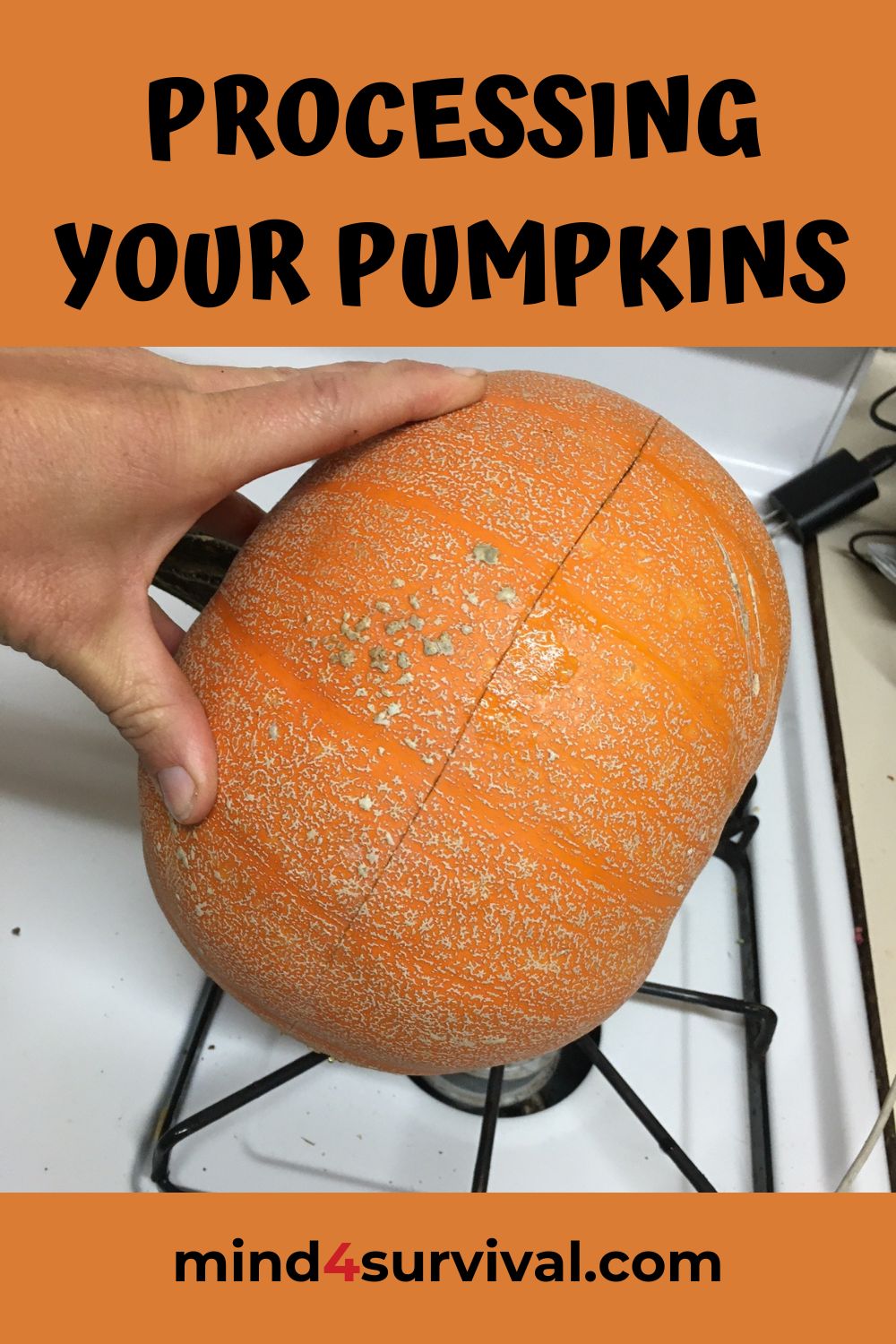 Prepping with Pumpkins