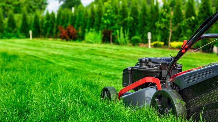Offer lawncare services as a holiday gift