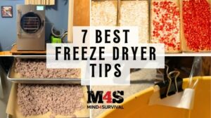 Best freeze drying tips for 2024