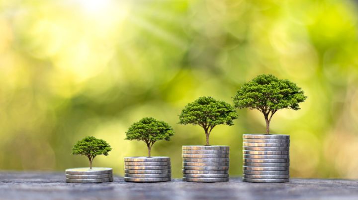 Planting the seeds for financial growth