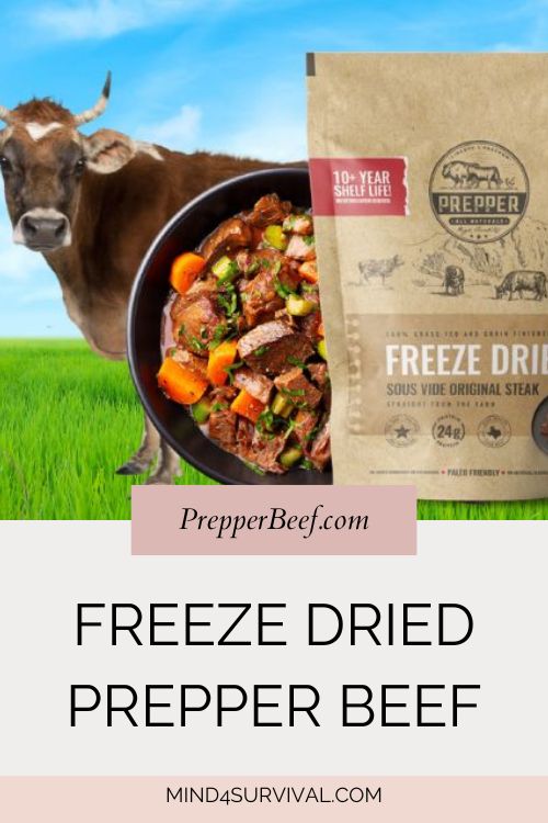 Freeze Dried Prepper Beef with Jason Nelson