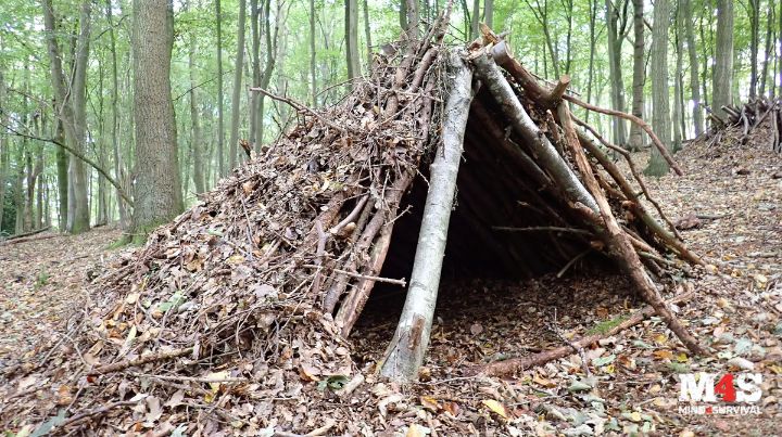 A debris hut in the woods