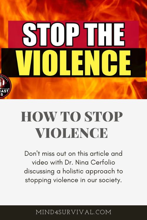 How to Reduce Violence: A Holistic Approach